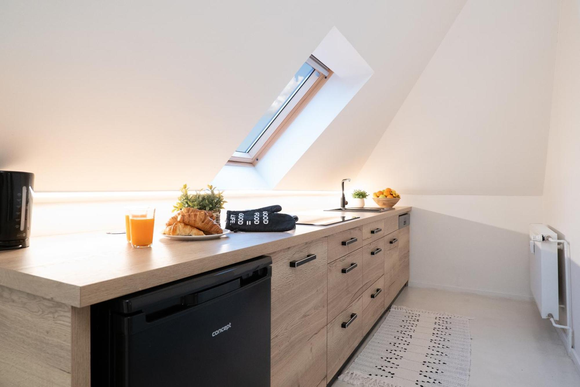 Apartament U Zlate Hvezdy, Karel IV Litoměřice Zewnętrze zdjęcie